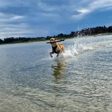 Casa vacanze Luxury Retreat In Oster Hurup-by Traum