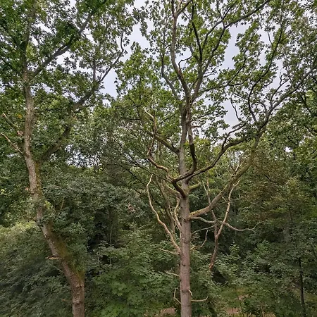 Luxury Retreat In Oster Hurup-by Traum *